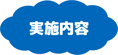 実施内容