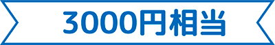3000円相当
